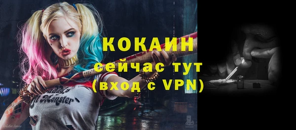 альфа пвп Новокубанск