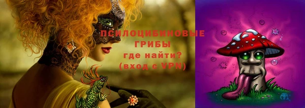 спайс Новозыбков